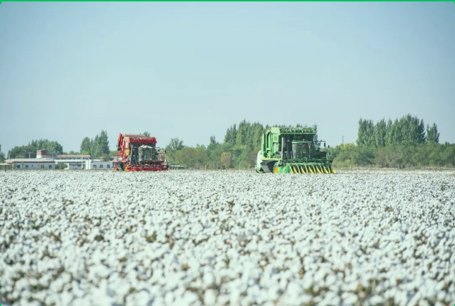 深耕希望田野，匠筑農(nóng)業(yè)標(biāo)桿——昌吉國家農(nóng)高區(qū)譜寫現(xiàn)代農(nóng)業(yè)發(fā)...